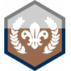 Chief Scout's Bronze badge 
