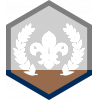 Chief Scout's Bronze badge 