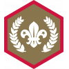 Chief Scout's Gold badge 