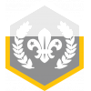 Chief Scout's Silver badge 