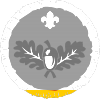 Naturalist badge 