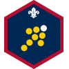 Team Leader badge 