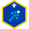 Team Leader badge 